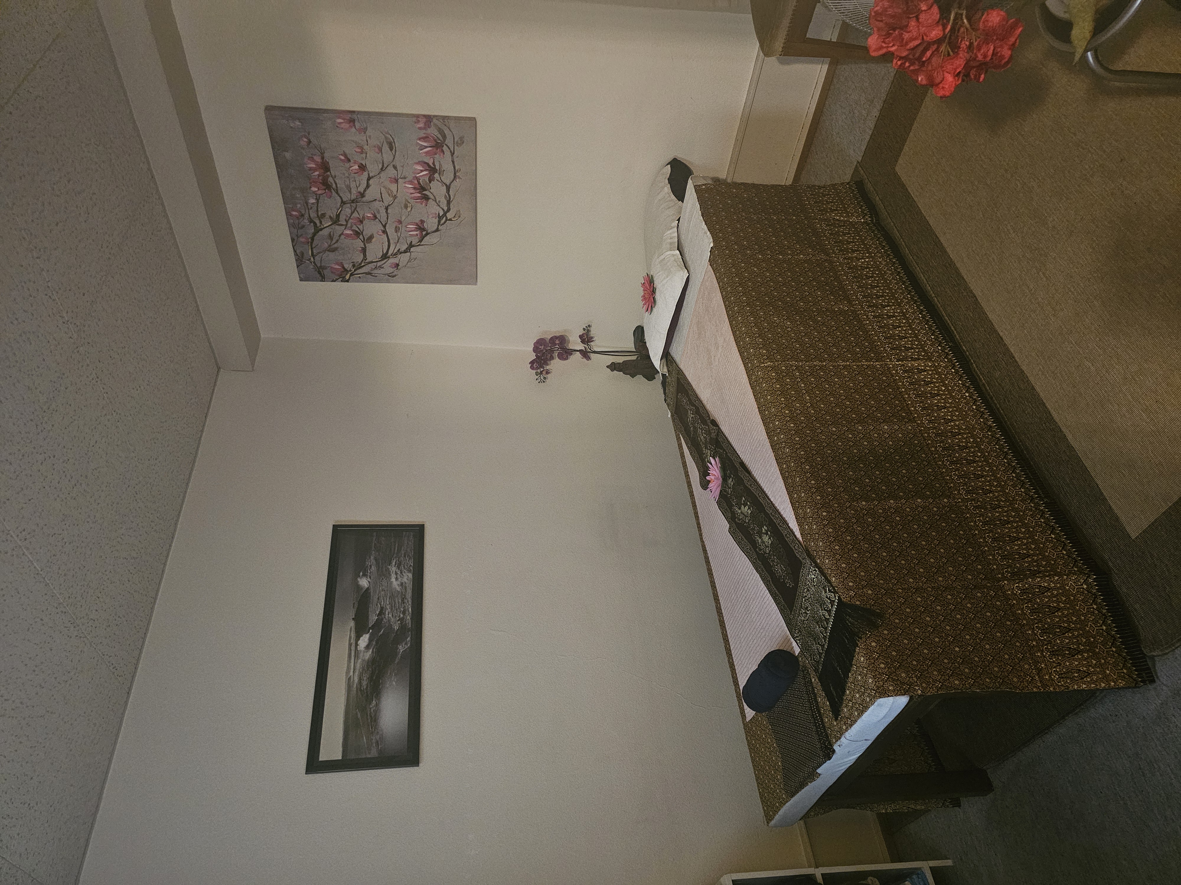 Salon Thassada Vue 2